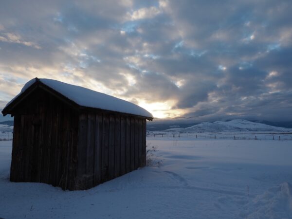 Winter Dusk